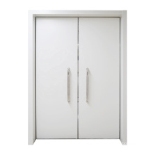 Factory hot sale galvanized active double steel door for hospital school